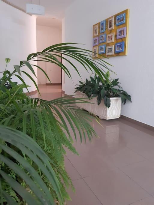 Apartamento Batalha - Quarteira, Algarve, Portugal 外观 照片