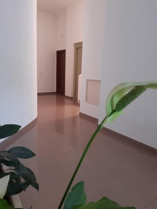 Apartamento Batalha - Quarteira, Algarve, Portugal 外观 照片